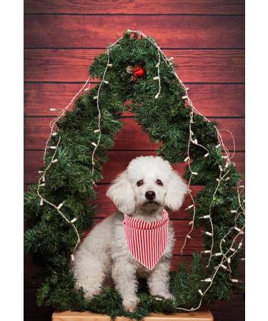 Buy Lionet Paws Red & White Striped Dog Bandana - Triangle Scarf for Stylish Pets - International Shipping Available - Buy Online on SooperMarket.com