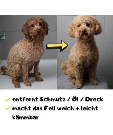 Moki B r Dog Shampoo with Argan Oil | Smooth Fur & Easy Combing | Made in Germany 250ml | International Shipping - Buy Online on SooperMarket.com