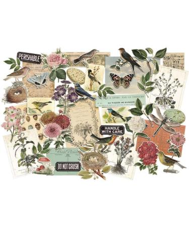 Tim Holtz Idea-Ology Bundle: Organic Layers TH94316 & Collage Layer Frames TH94318 - Spring 2023 Release - Buy Online on SooperMarket.com