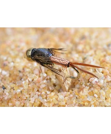 Mustad Signature Fly Hooks Nymph Fly Assortment - 57 Fishing Flies in Various Sizes - Buy Online on SooperMarket.com