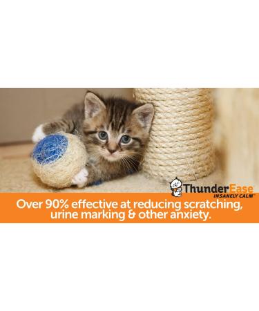 ThunderEase Cat Calming Pheromone Diffuser Kit | Powered by FELIWAY | Reduce Scratching, Urine Spraying, Marking, and Anxiety - 30 Day Supply - Buy Online on SooperMarket.com