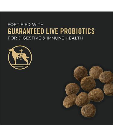 Purina Pro Plan Sensitive Skin & Stomach Puppy Food - Salmon & Rice 4 lb. Bag - Buy Online on SooperMarket.com