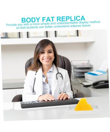 Gatuida Fat Model Models Nutritionist Display Body Fat Manikin Teaching Body Fat Replica Base Fitness Sports - Buy Online on SooperMarket.com