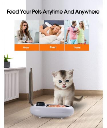 WOPET FT60 Automatic Cat Feeder | 48-Hour Timer, Ice Gel Pack, Refrigeration Function | Ideal for Puppies and Kittens | White - Buy Online on SooperMarket.com