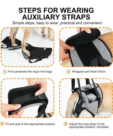Buy Hamon Portable Dog Harness for Hind Legs | Ideal Lifting Aid for Older Sick or Post-Operative Dogs (M) - International Shipping Available - Buy Online on SooperMarket.com