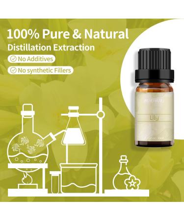 Lily Essential Oil 10ml - 100% Pure & Organic Fragrance Oil for Aromatherapy, Diffuser, Candle & Soap Making - Brown Bottle - Pack of 1 - Buy Online on SooperMarket.com