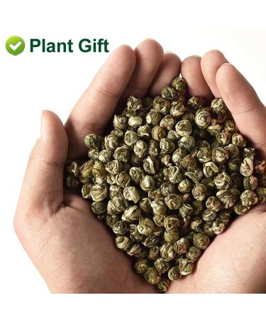 Plantgift Jasmine Dragon Pearls Tea 130g - Premium Green Tea & Oolong Blend - Best Jasmine Tea for a Soothing Experience | International Shipping - Buy Online on SooperMarket.com