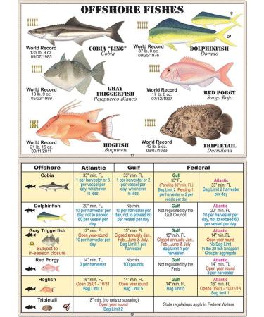Saltwater Fish ID 9749091574 Florida Saltwater Fish ID, 10th Edition