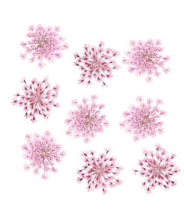 iFancer Pressed Dried Flowers for Resin Art  Candle Making  Scrapbooking  DIY Crafts Supplies (Queen Anne's Lace  Pink  50 PCS) Pink Lace