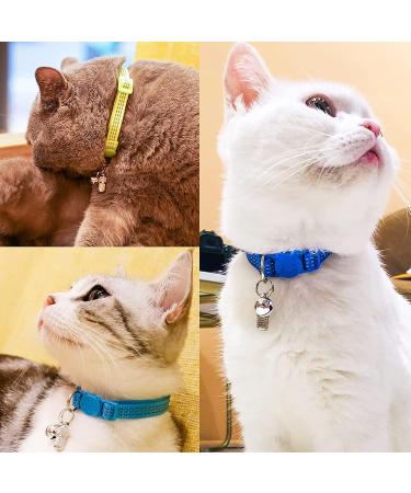 Address Pendant for Cats & Dogs - 6 Stainless Steel Pet ID Tags with Key Rings | Anti-Free Name Tag & Collar Trailer for Pet Identification - Buy Online on SooperMarket.com