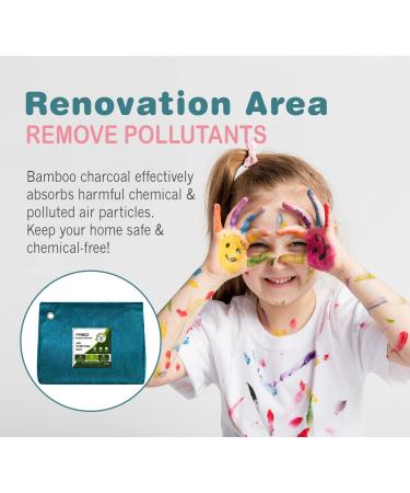 FriEQ 12-Pack Bamboo Charcoal Air Purifying Bags | Odor Absorber for Car, Home, Closet | Lasts 365+ Days | 4x200g 8x50g | Blue-Green - Buy Online on SooperMarket.com