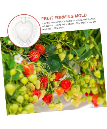 Gogogmee 5pcs Fruit Shaping Mold Plastic Fruit Cucumber Shaping Tool Vegetable Shaping Tool Garden Tools - Buy Online on SooperMarket.com