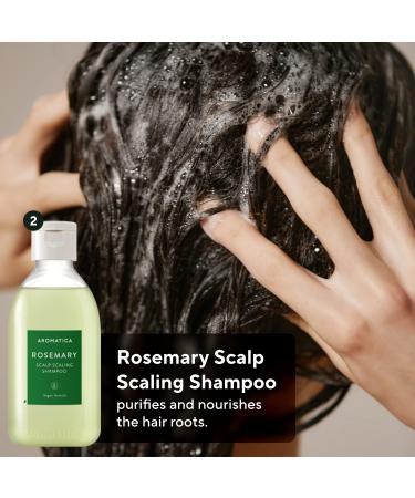 AROMATICA Rosemary Scalp Scaling Trial Kit with Mini Wooden Hair Brush - Clearer, Dandruff-Free Hair - Plant-Based Vegan Shampoo - 3.38 fl. oz Shampoo + 1.01 fl. oz Root Enhancer & Scalp Scrub - Buy Online on SooperMarket.com