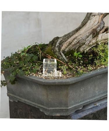 BESPORTBLE 2pcs Pet Water Feeder Insect Water Bowl Ants Drinking Tool Ants Water Feeding Ants Feed Bowl Plastic - Buy Online on SooperMarket.com