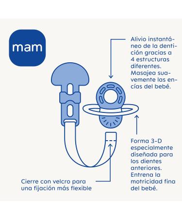 MAM Bei ring for 2+ Months - Immediate Teething Relief Extra Light & Easy to Hold Includes Buckle Easy to Clean - Shop Now! - Buy Online on SooperMarket.com