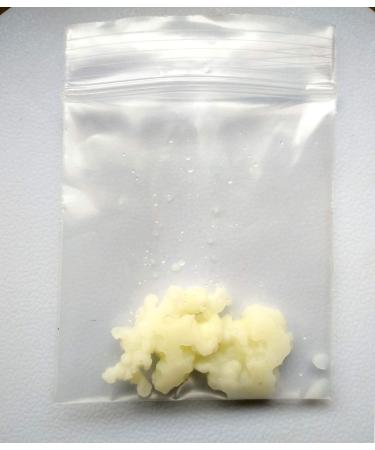 Organic kefir mushrooms for delicious milk kefir small tubers