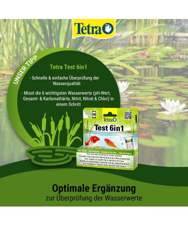 Tetra Pond Medifin 3L - Advanced Medication for Pond Fish Disease Prevention & Disinfection | International Shipping - Buy Online on SooperMarket.com