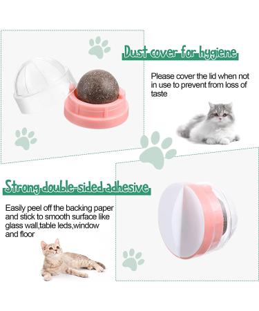 6-Piece Silvervine Catnip Wall Balls - Edible, Rotatable, and Safe Cat Treat Toys with 3 Flavors for Teeth Cleaning and Biting - Buy Online on SooperMarket.com