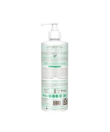 Babo Botanicals Eucalyptus Remedy Shampoo & Wash - Eucalyptus & Rosemary Oils - EWG Verified, Vegan & Cruelty-Free - 16 fl. oz - Buy Online on SooperMarket.com