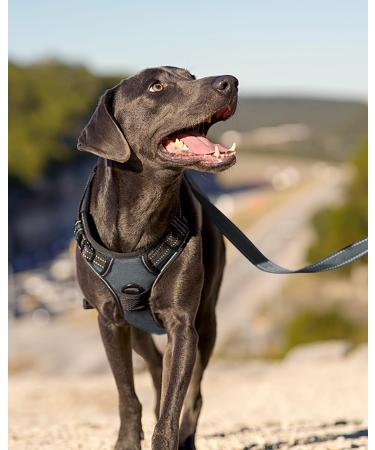 Joytale Medium Dog Harness - Reflective Soft Padded Adjustable & Breathable Anti-Scratch with Control Handle - Gray (1 Pack) - Buy Online on SooperMarket.com