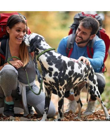 Fida Slip Rope Dog Lead - 1.8m One-Size-Fits-All Leash | Easy Slip-On Design, Reflective Stitching, Durable Climbers Rope - Large Green (1.3cm x 1.8m) - Buy Online on SooperMarket.com