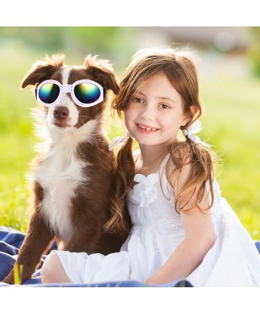 JIABEIUS Dog Goggles - Windproof Anti-Fog UV Protection Sunglasses for Cats & Small Dogs (Black) - Buy Online on SooperMarket.com