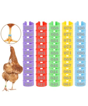 MEWTOGO 100Pcs Chicken Birds Leg Rings- Colorful Numbered Chicken Birds Identification Leg Bands Poultry Leg Bands Clip on Leg Rings for Pigeons Lovebird Coturnix Quail Chicken Goose Gamefowl Turkey 16mm