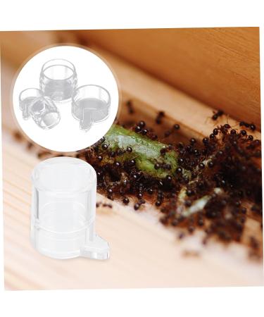 BESPORTBLE 2pcs Ant Water Feeder Ant Water Feeding Bowl Automatic Water Bowl Mini Ant Nest Acrylic Transparent - Buy Online on SooperMarket.com