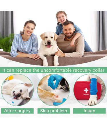 ETDANE Surgical Recovery Suit for Dogs - Anti-Hair Loss Long-Sleeved Pile Suit in XXL Orange - Comfort for Male & Female Dogs - Buy Online on SooperMarket.com