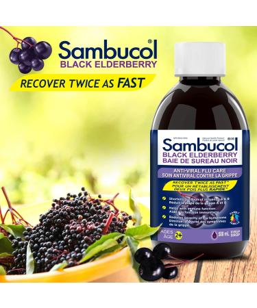 Sambucol Black Elderberry Anti-Viral Flu Care Syrup | Quickly Relieves Cold & Flu Symptoms | Immune Support & Antioxidant | Ideal for Families | 500 mL Anti-Viral Flu Care 500 ml (Pack of 1) - Buy Online on SooperMarket.com