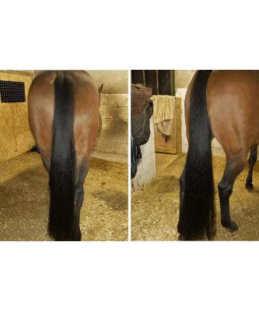 Farriers Shire Oil Twin Pack - Buy Online on SooperMarket.com