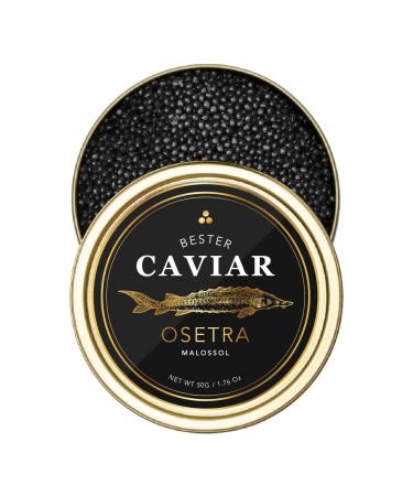 OVERNIGHT GUARANTEED, BESTER Premium Osetra Sturgeon Black Caviar - (1.76 oz (50g)) - Malossol Ossetra Black Roe - Premium Quality, Traditional Style, imported