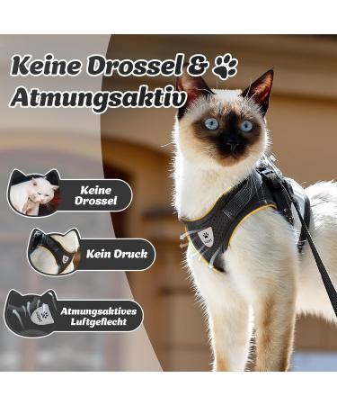 Buy Supet Breaking-Safe Cat Dishes & Soft Vests with Leash for Kittens & Small Dogs - S (26-32 cm) Black | International Shipping Available - Buy Online on SooperMarket.com
