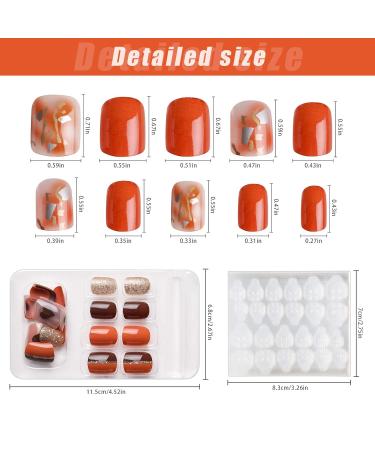 Kalolary 144PC False Nails Set - Complete Acrylic Fingernails with Nail Glue Stickers for Women & Girls | DIY Nail Art & Decoration - Buy Online on SooperMarket.com
