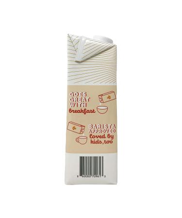 RISE Brewing Co Organic Original Oat Milk - 32 oz | Dairy-Free, Non-GMO - Buy Online on SooperMarket.com