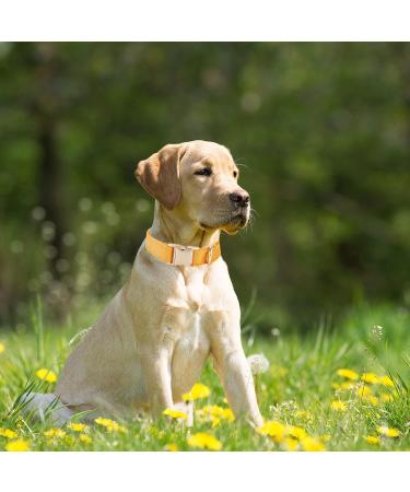 YUDOTE Ultra-Soft Natural Cotton Dog Collar for Large Dogs with Sensitive Skin - Orange L (1 Pack) - Buy Online on SooperMarket.com