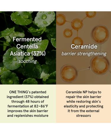 ONE THING Cica Ceramide Cream 2.47 Oz - Soothing Hydrating Moisturizer for All Skin Types | Vegan Korean Skincare with Centella Asiatica | Barrier Repair & Calming Formula - Buy Online on SooperMarket.com
