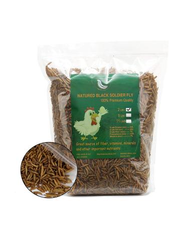 WAMSOFT Non-GMO Dried Mealworms 100% Natural Large Size No MoistureTreats for Birds Chickens Hedgehog Hamster Fish Reptile Turtles