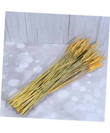 Warmhm 1 Rustic Decor Country Decor The Gift Home Accents Decor Handmade Wheat Dried Flowers Simulation Wheat Centerpieces Natural Blond Wheat Ears of Wheat Decorate Bouquet - Buy Online on SooperMarket.com