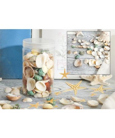 70+ pcs Famoby Sea Shells & Starfish for DIY Crafts & Beach Theme Decor - Buy Online on SooperMarket.com
