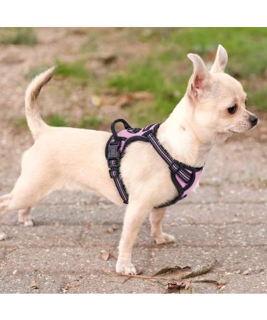 Rabbitgoo No-Pull Dog Harness for Small Dogs - Adjustable & Breathable with Reflective Stripes - Safe Control Breast Harness for Large Dogs - Pink XS (1 Pack) - Buy Online on SooperMarket.com