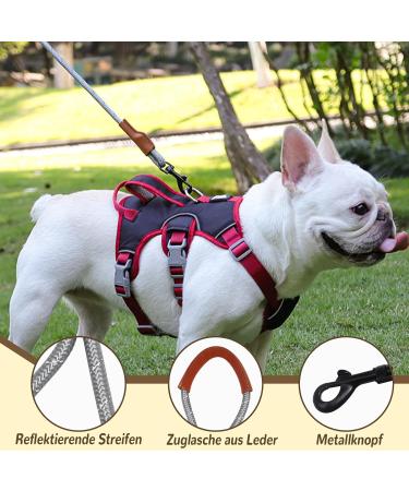 Buy Multi-Purpose Dog Harness with Leash Set - Outbreak-Proof & Anti-Train for Small to Medium Dogs (Beige M) - International Shipping Available - Buy Online on SooperMarket.com