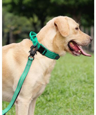 Joytale Tactical Dog Collar | Durable Dog Collar with Handle for Large Dogs | XL Turquoise with QR Code Dog Tag - International Shipping Available - Buy Online on SooperMarket.com