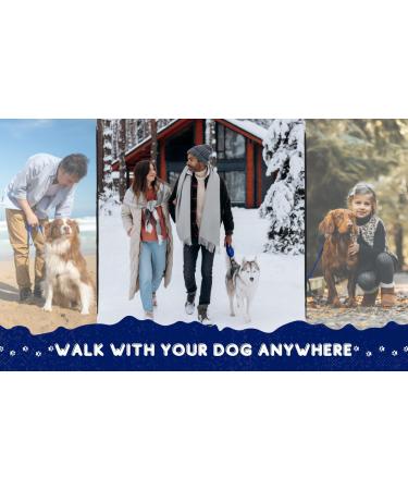 Buy Loutep Nylon Dog Towline Leash - 3m 5m 10m 15m 20m Options with Padded Handle - Strong & Durable - Blue - Buy Online on SooperMarket.com