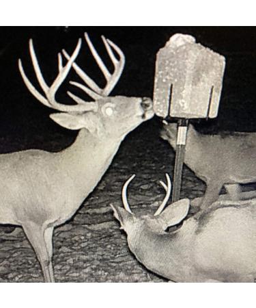 4S Feed Block Elevator - Attract Deer, Livestock, and Cattle with 50 LB Salt Block - Wildlife & Hunting Solutions - Buy Online on SooperMarket.com