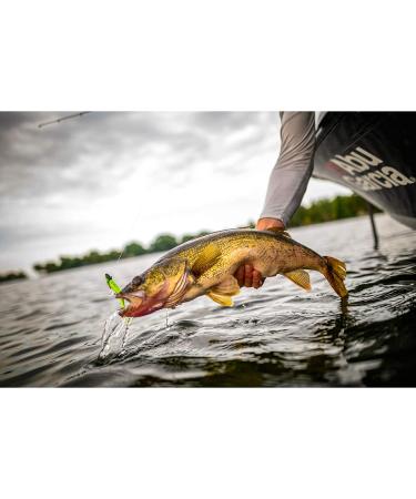 Berkley Gulp! Alive! 1-Inch Minnow Smelt - Realistic and Lifelike Fishing Bait - Buy Online on SooperMarket.com
