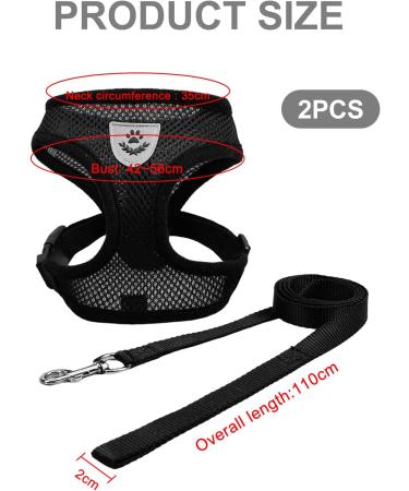 Buy Nizirioo Cat Harness & 2 Safe Cat Dishes - Stylish Black Set for Small Medium Pets - Buy Online on SooperMarket.com