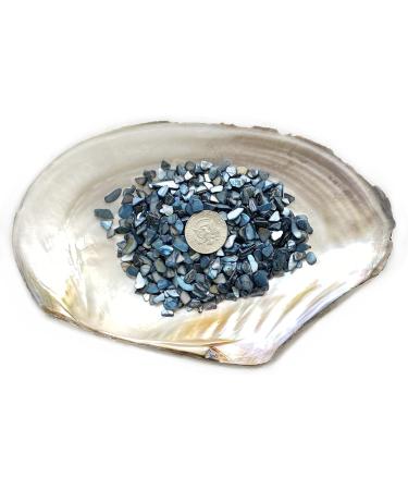Yew & Tulip Natural Crushed Shells Chips 32oz (2 lbs) Dark Blue Mother of Pearl Mosaic Fragments - Perfect for Home D cor, Vase Filler, Crafts, Weddings - 2 lb (32 oz) Dark Blue - Buy Online on SooperMarket.com