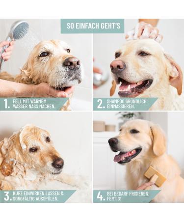 Reavet Dog Shampoo for Itching - Neem Oil Formula for Mites Fleas Ticks | Suitable for All Breeds & Puppies - Pleasant Fragrance 500ml - Buy Online on SooperMarket.com