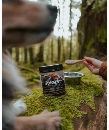 BiologicVET - BioDIGEST Plant Probiotic 380g All-Natural Advanced Dog & Cat Probiotic Powder with Prebiotics & Flax Relieves Diarrhea and Constipation Supports Digestion Allergy Immunity & Health 380 g (Pack of 1) - Buy Online on SooperMarket.com
